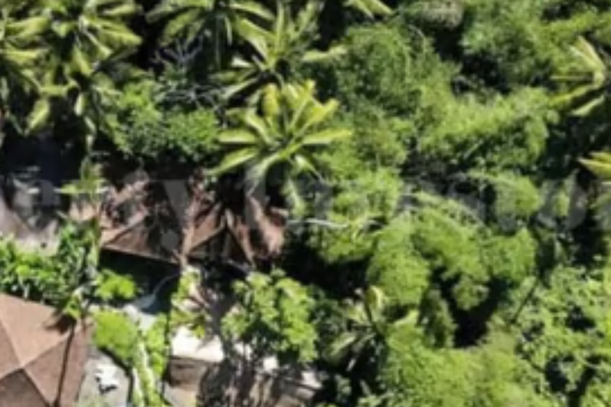 The Work Is Quiet on Purpose