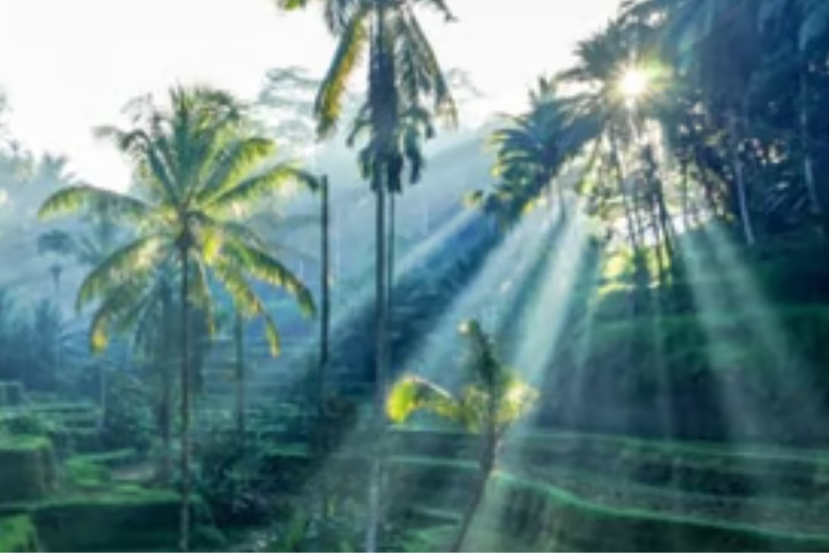 Winter Field Residency