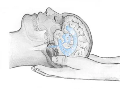 sistema-craneo-sacral-1 sistema-craneo-sacral-1
